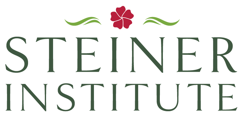 Logo image for Steiner Institute