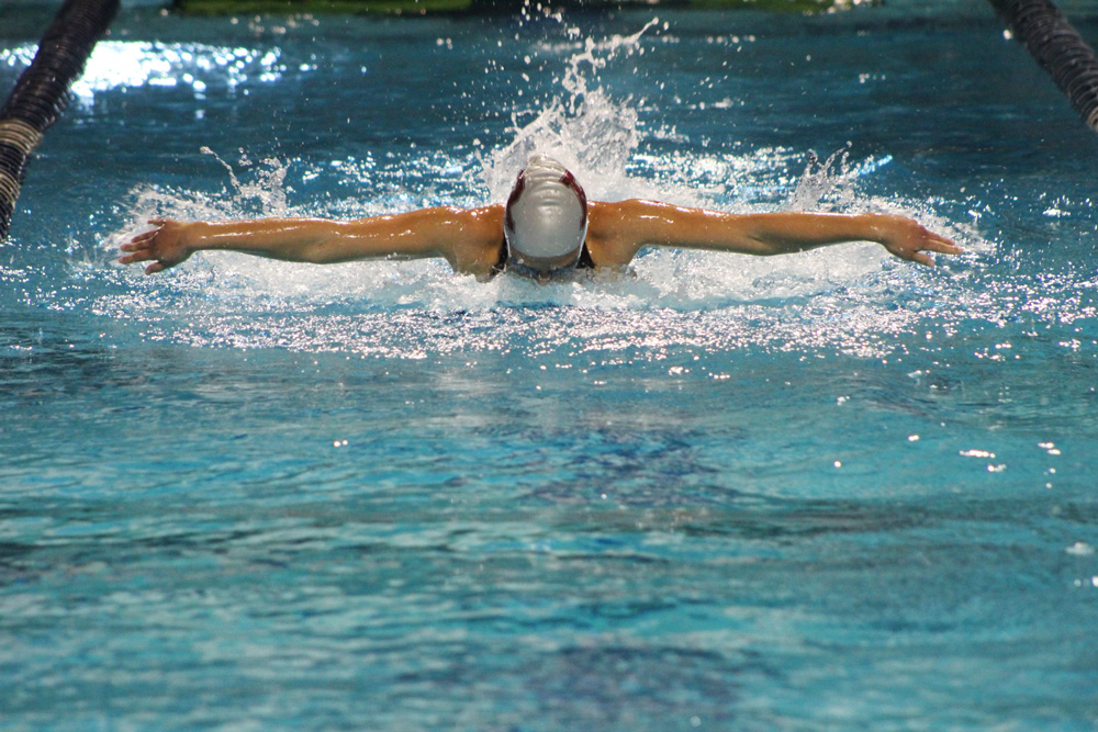 Swimmer swimming the butterfly stroke.