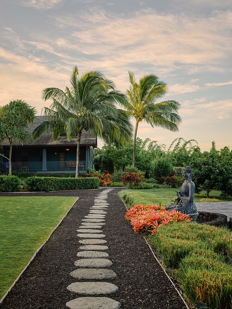 Path lined with stones leading to garden and palm trees.