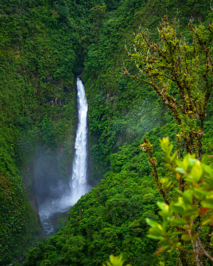 Big waterfall in a tropical rainforest.